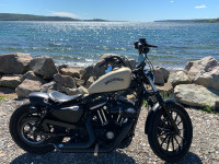2014 Harley Davidson Sportster 883 Iron sell or trade