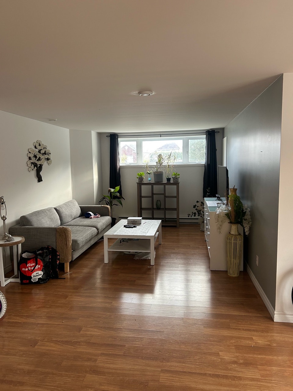 logement à louer 1
