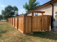 The Buzz on Winnipeg's Premier Wooden Fence, Gate & Deck Builders thumbnail