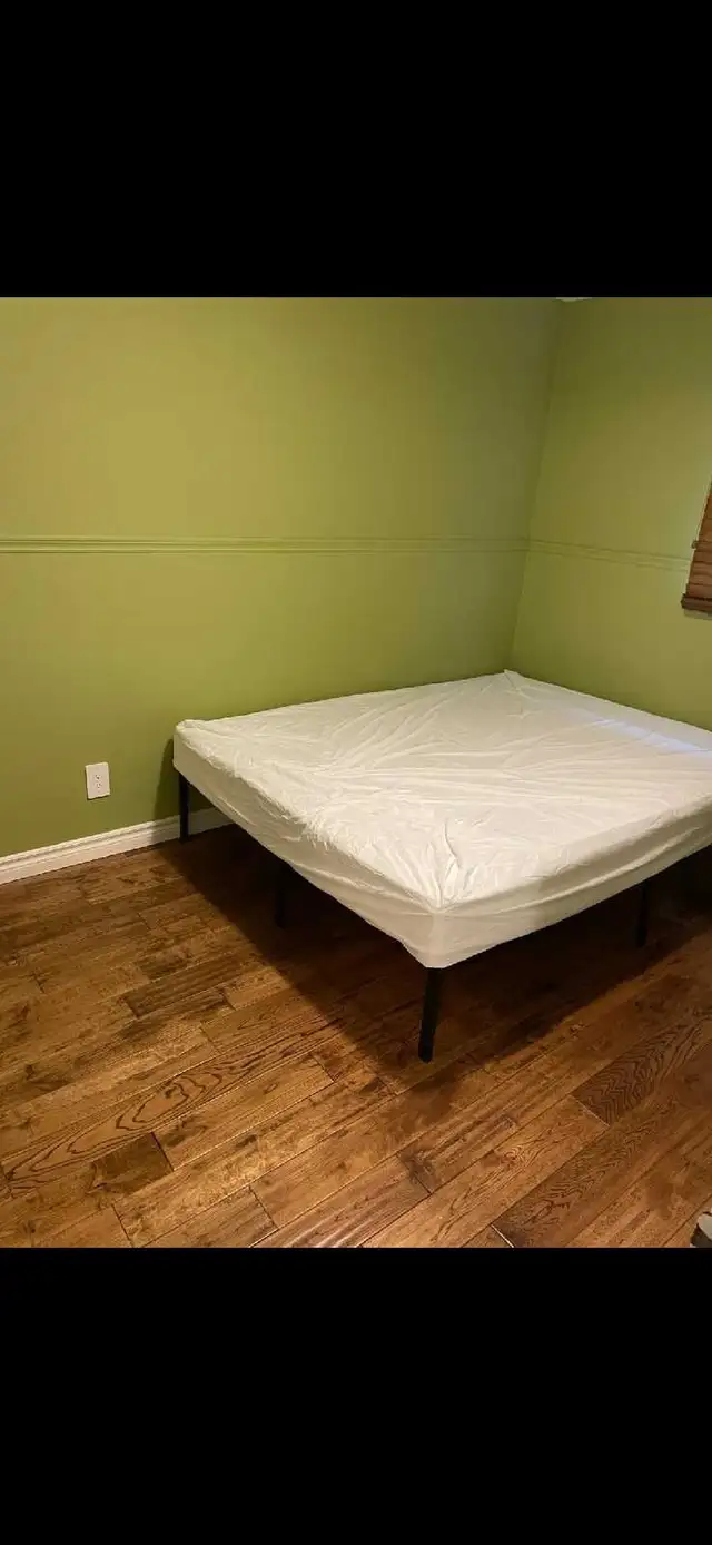 Female rooms for rent waterloo in Room Rentals & Roommates in Kitchener / Waterloo - Image 3