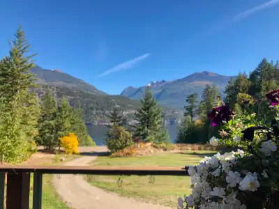 1 Bedroom 1 Bathroom Fully Furnished STUDIO SUITE in separate, self-contained Cabin in the woods in...