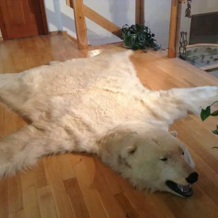 Polar Bear Rug -   $ 4,500 in Rugs, Carpets & Runners in Parksville / Qualicum Beach