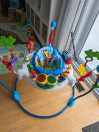 Baby Activity Bouncer