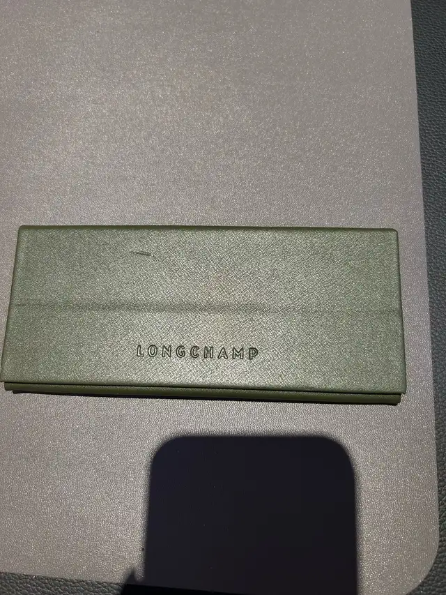 Longchamp case63373408904963121