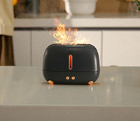Flame Humidifier! 
