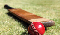 Looking for leather ball cricket players for summer 