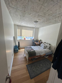 Room for rent in 3 bedroom 1 bathroom  apartment-Females only