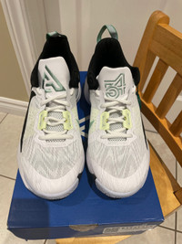 BNIB NIKE GIANNIS BASKETBALL SHOES