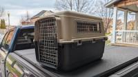 Dog crates 25" & 21" - suitable for puppy or small dog