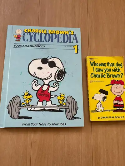 Charlie Brown books x2, View more