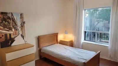 Downtown house room for rent