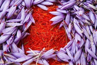 Saffron Super Negin Quality Wholesale Price