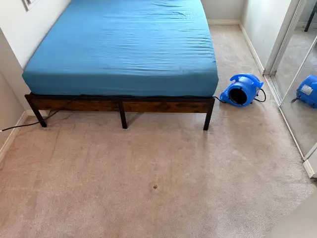 carpet cleaning533010511267768321