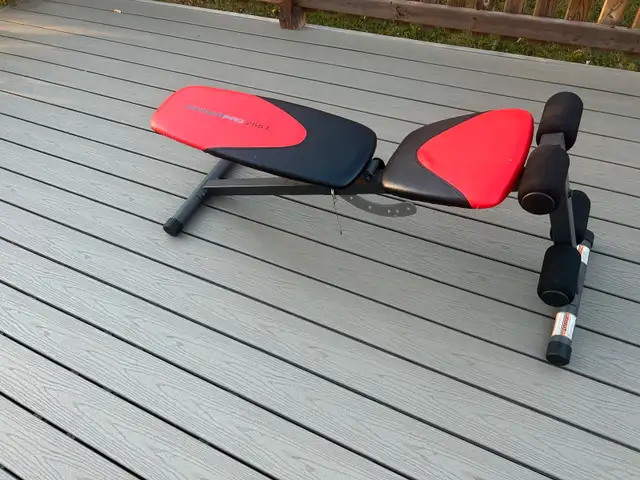 workout bench $40 obo in Exercise Equipment in Red Deer - Image 2