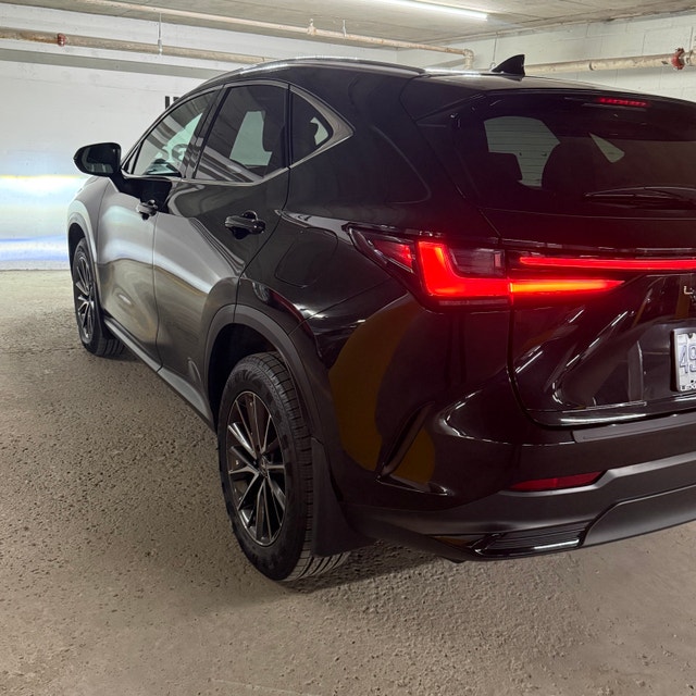 Brilliant Lexus 2023 NX 250 AWD — photo 3