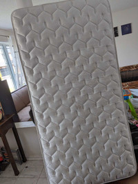 Free Sealy mattress, single size 