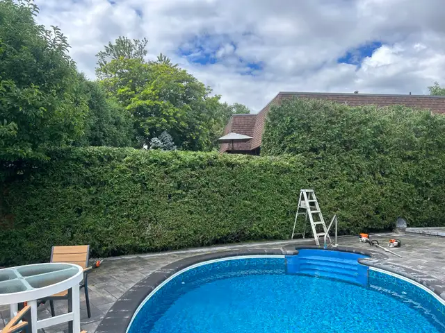 Landscape/Snow removal in Lawn, Tree Maintenance & Eavestrough in Mississauga / Peel Region - Image 9