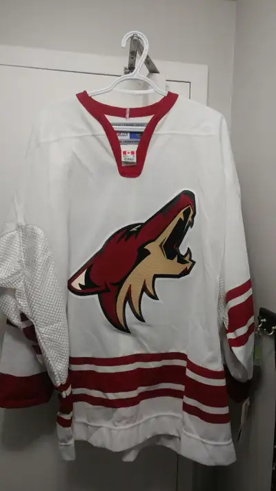 WAYNE GRETZKY AUTOGRAPHED PHOENIX COYOTES CCM JERSEY WITH COA, View more