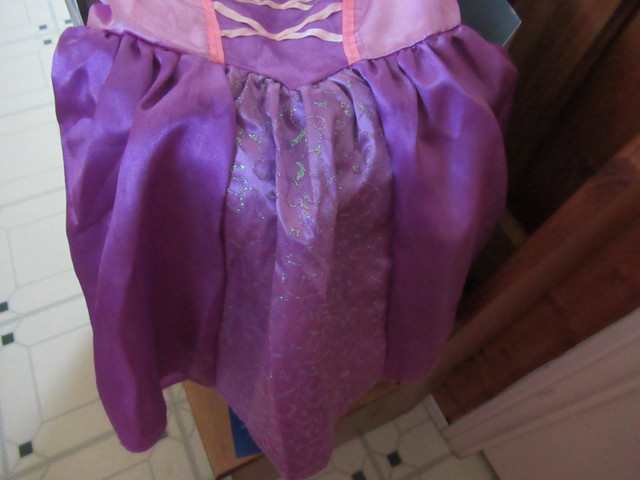 FS:  A Tangled Princess Dress in Costumes in City of Halifax - Image 3