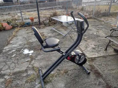 ProForm X-Bike Duo, View more