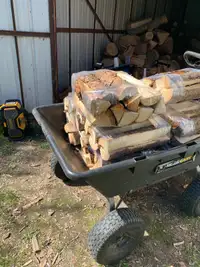 Bundles of fire wood 