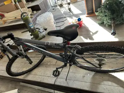 Schwinn Suspend Bike, View more