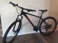 Raleigh 29” wheel mountain bike