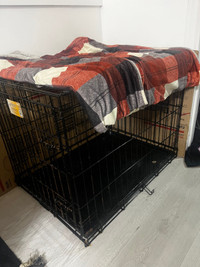 Dog Crate 