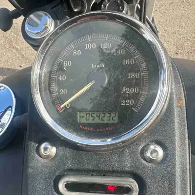 Beautiful custom built bike. Runs great. 54200 kms.