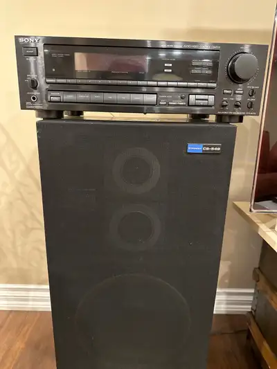 In good working order Pioneer CS-549 x 2