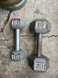 Dumbbell weights 