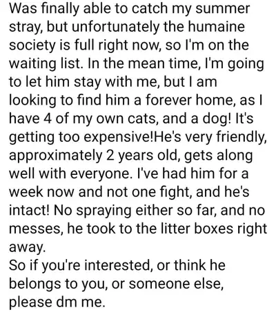 found kitty, View more