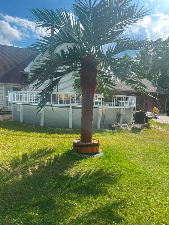 Artificial Palm Tree557020058359572483