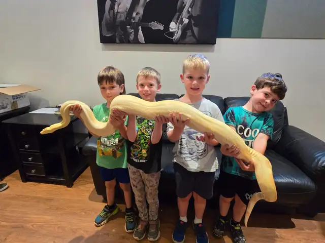 Reptile Summer Camps!491789347319326721