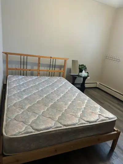 room for rent ( female only)