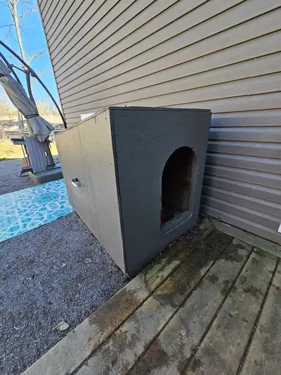 Dog House, View more