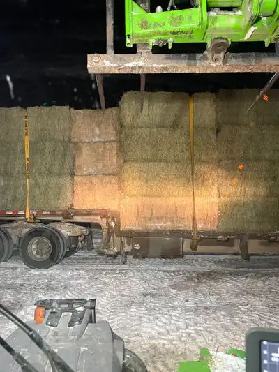 3x4 large square alfalfa bales 2nd cut with feed test available. 1250lbs average weight Around 160 r...