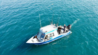 Salmon/Trout/Walleye Fishing Charter Grand Bend/Pt Franks