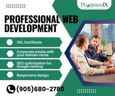SEO-Optimized & Responsive Web Development, View more