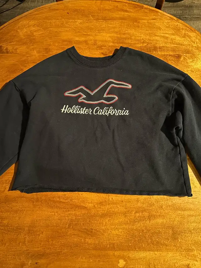 Hollister Cropped Sweater