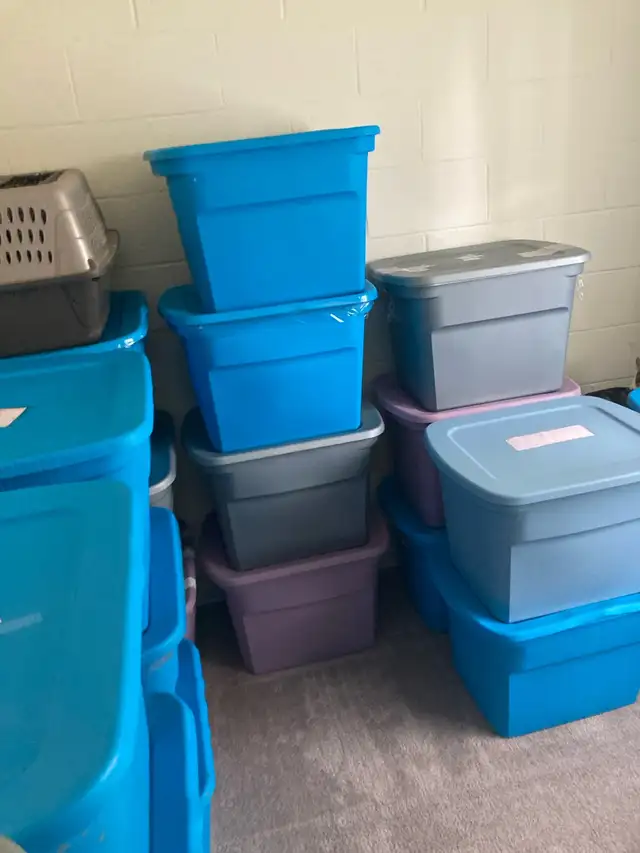 need a mover will pay 1000 for sept 1