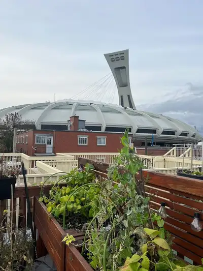 4 1/2 - 2 min du métro pie-ix - Hochelaga - Terrasse sur le toit