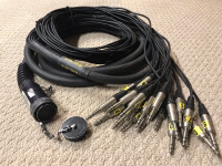 WHIRLWIND MULTIPIN CABLE TO FANOUT