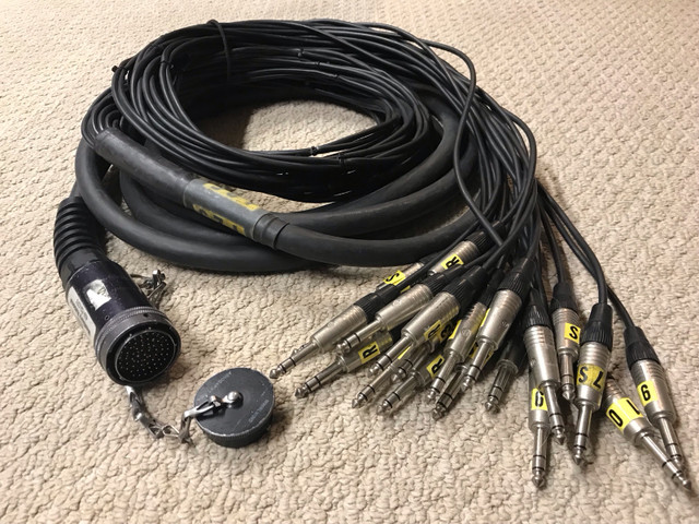 WHIRLWIND MULTIPIN CABLE TO FANOUT in Pro Audio & Recording Equipment in Oakville / Halton Region