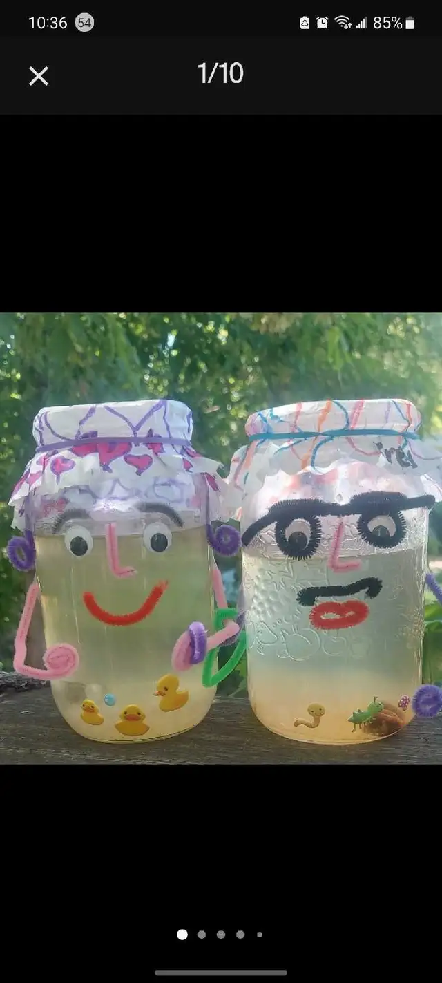 Milk kefir * Probiotic ! in Animal & Pet Services in Edmonton - Image 6