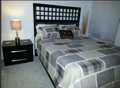 1 private furnished luxury bedroom for $60 daily rate rental