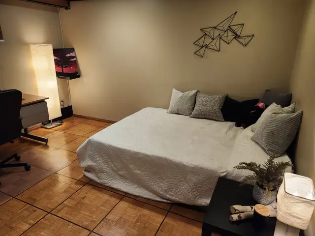 LARGE BASEMENT ROOM FOR RENT IN NORTH YORK in Room Rentals & Roommates in City of Toronto - Image 2