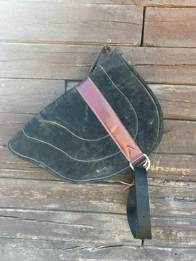 Tack Lot in Equestrian & Livestock Accessories in Dawson Creek - Image 5