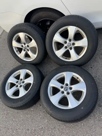 You can use them on a 2006-2026 Toyota RAV4, or 2004-2026 Toyota Sienna, or Highlander 2007-2013 or...
