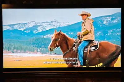 4K SmartCast TV with Digital Tuner: Excellent, View more
